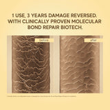 Champi Bond Repair Conditioner